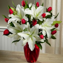 Bouquets Tulip Flower